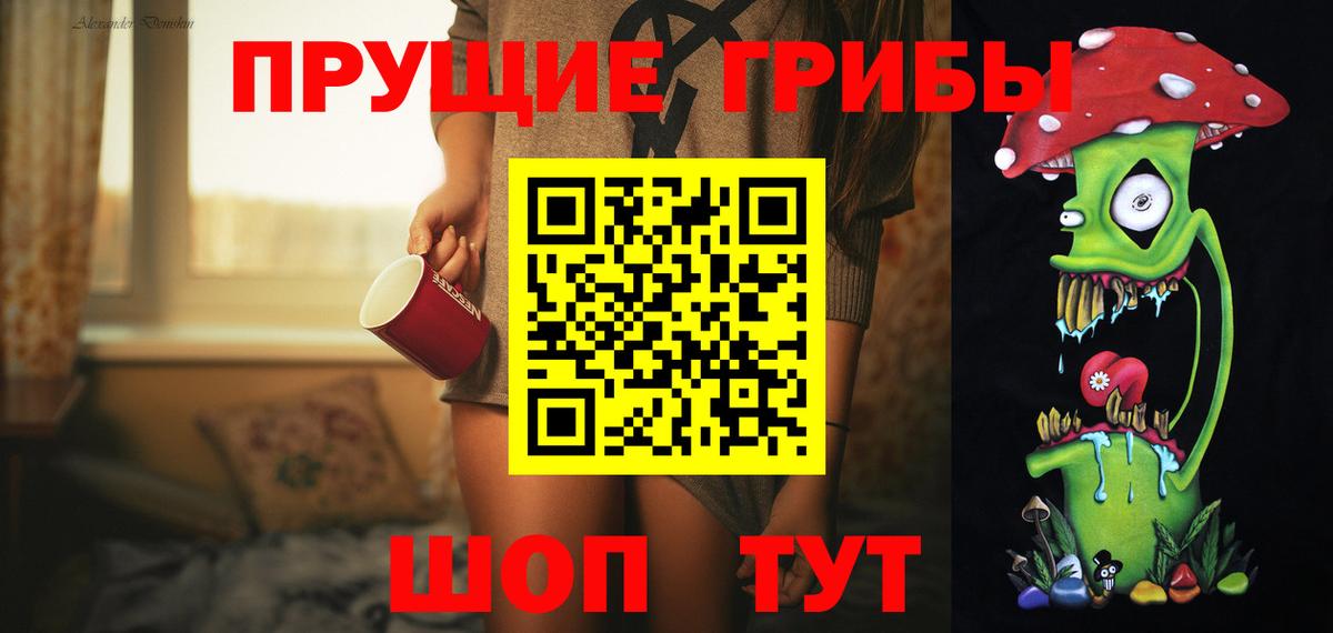 где купить наркоту  Псилоцибиновые грибы Psilocybe  Вход с VPN  Карачаевск  Псилоцибиновые грибы Psilocybe 